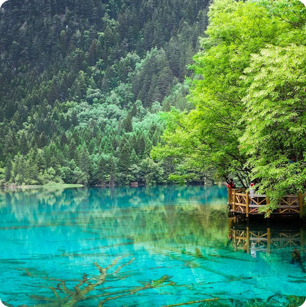 Du lịch Trung Quốc 7 ngày 7 đêm