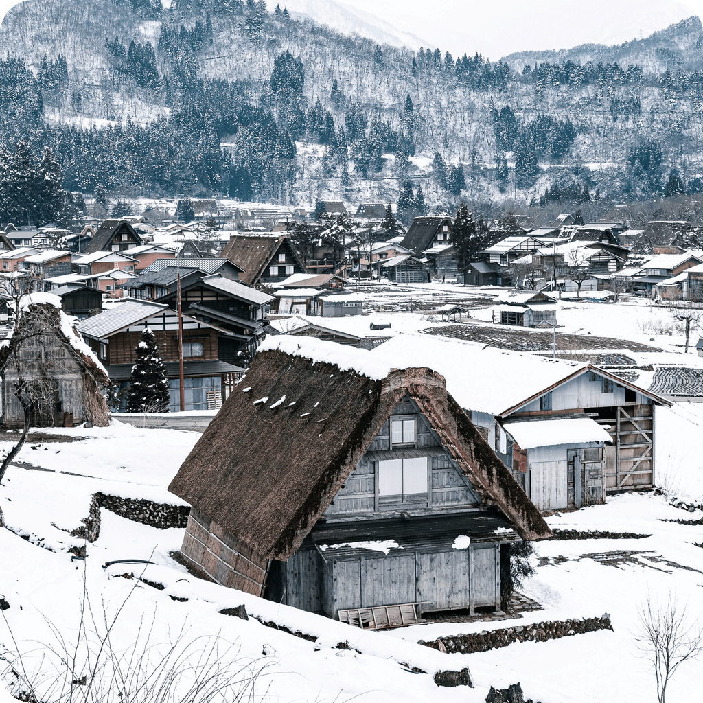 Tour du lịch Nhật Bản Tết 5N5Đ