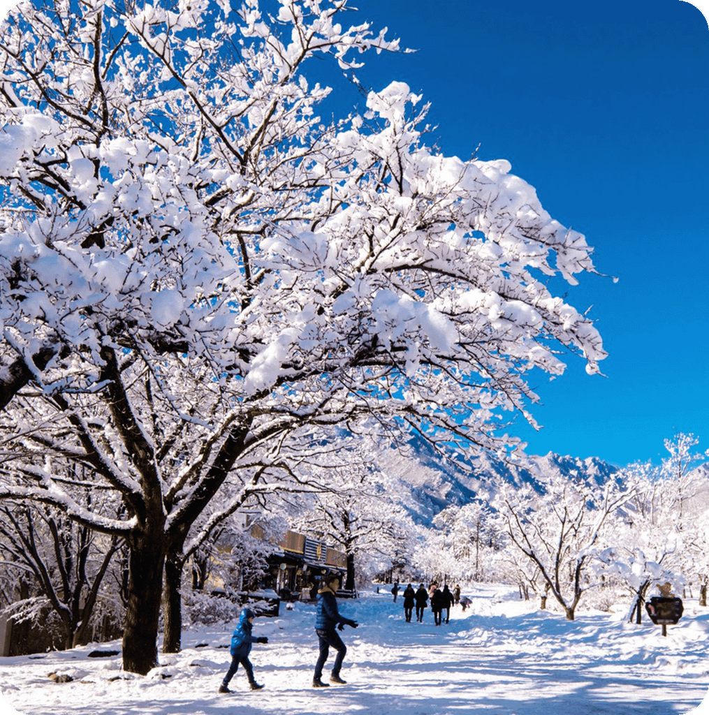 Du lịch Hàn Quốc 4N4Đ