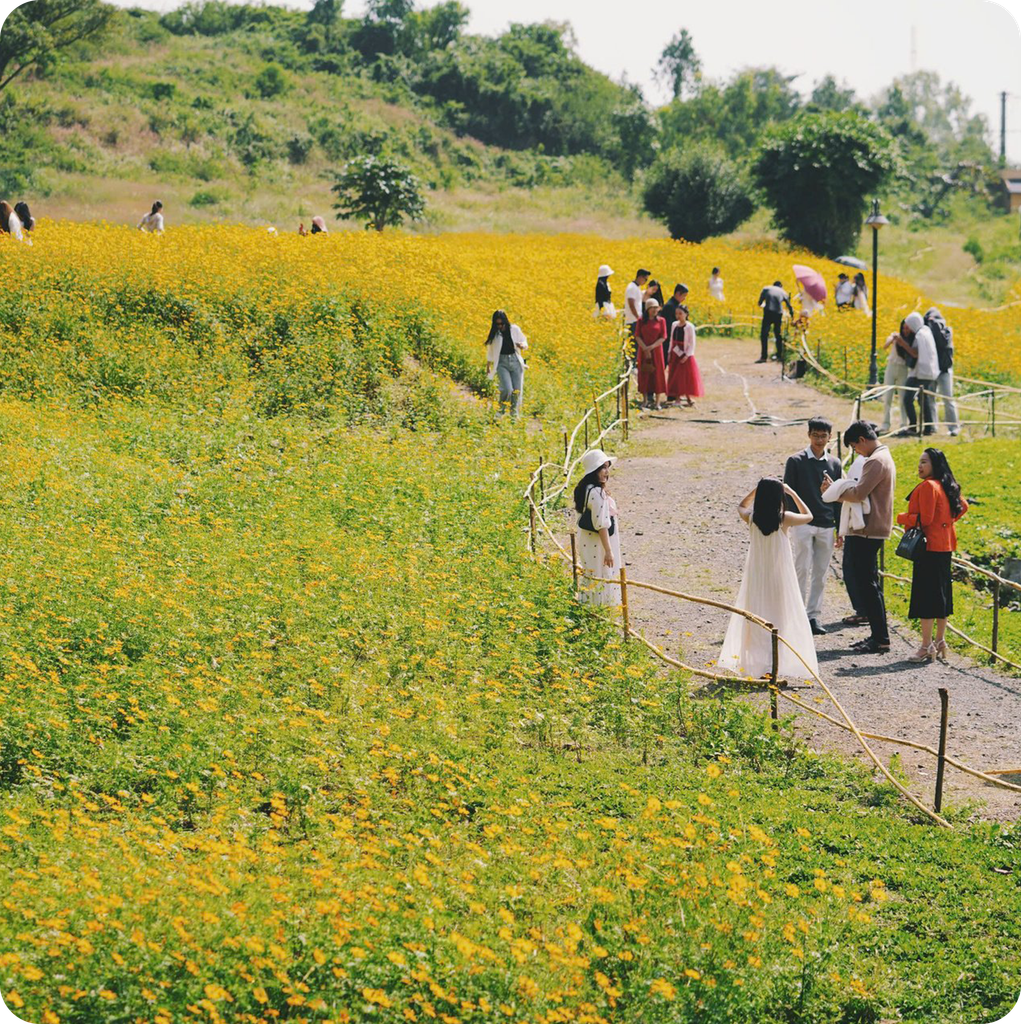 Tour du lịch Phú Yên 3 ngày 3 đêm