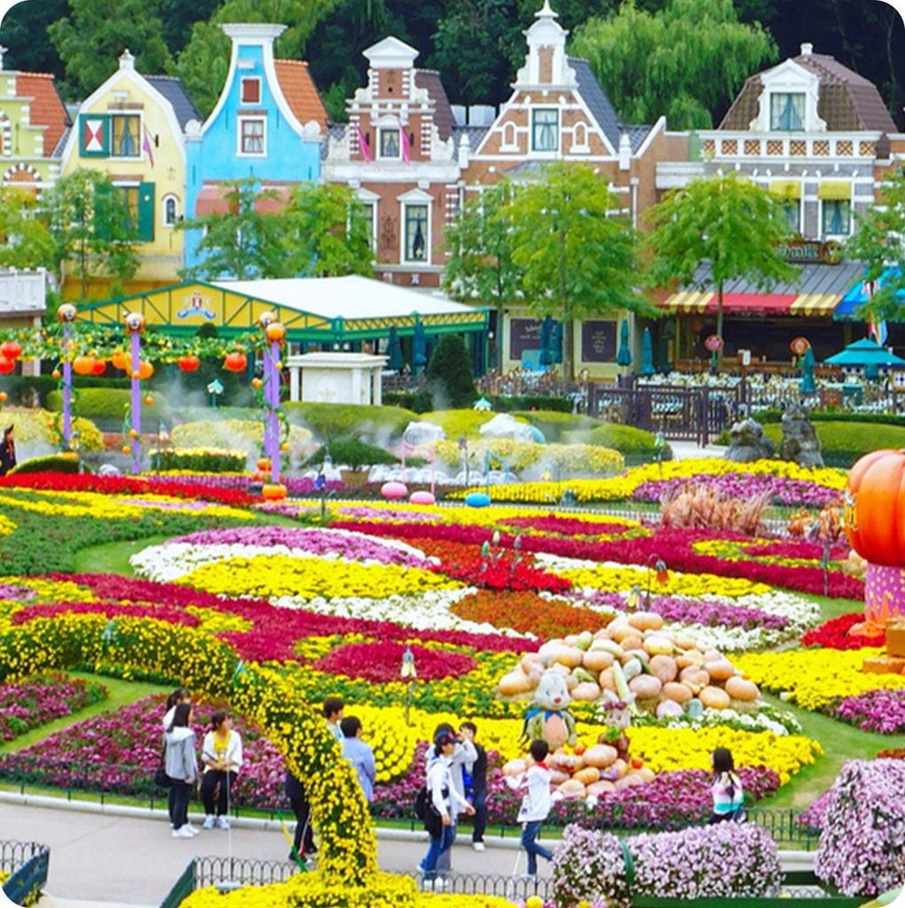 Du Lịch Hàn Quốc Seoul - Busan 5 ngày 4 đêm