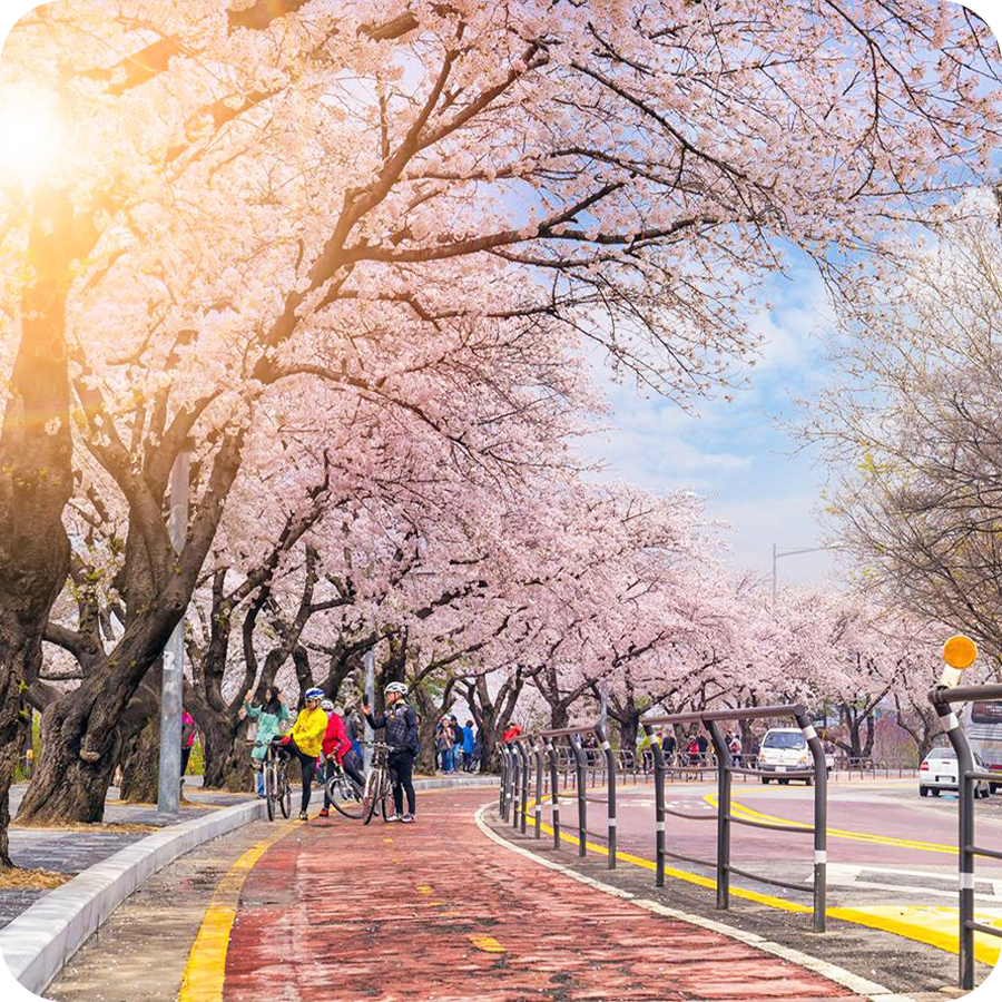 Du lịch Hàn Quốc 5 ngày 4 đêm