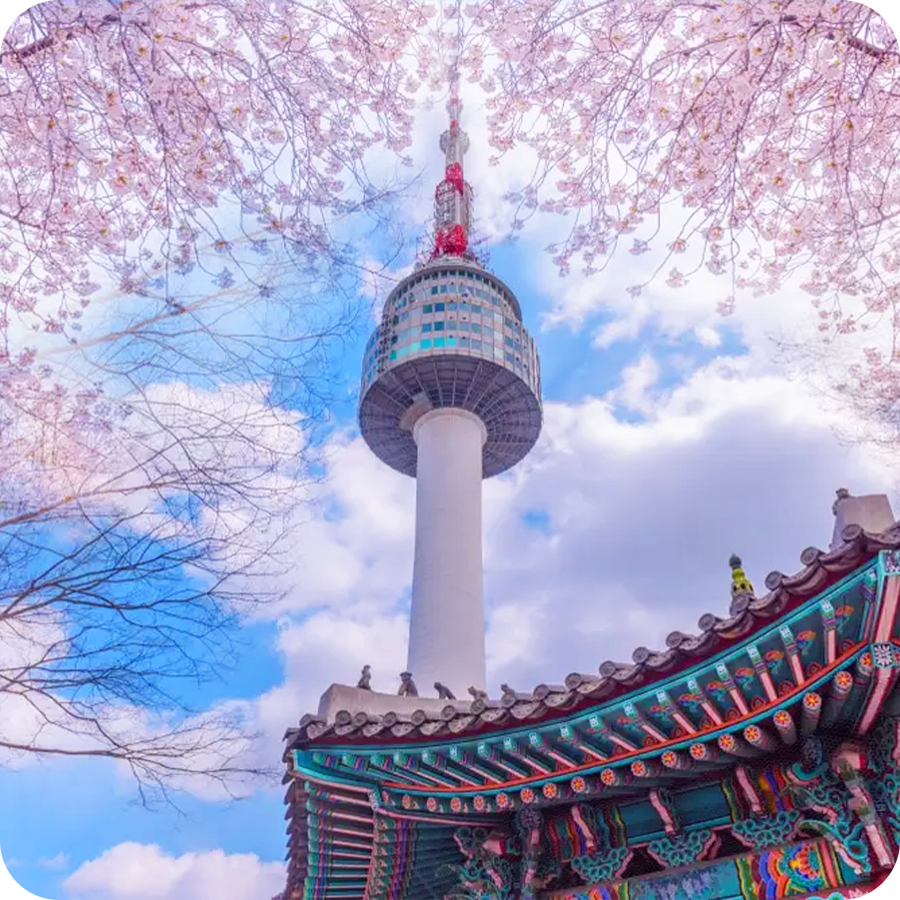 Du lịch Hàn Quốc 5 ngày 4 đêm