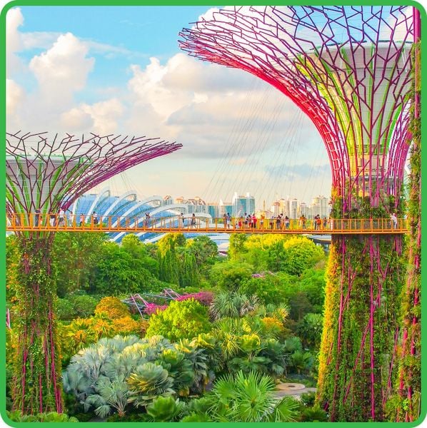  Du lịch Singapore 3 ngày 2 đêm 