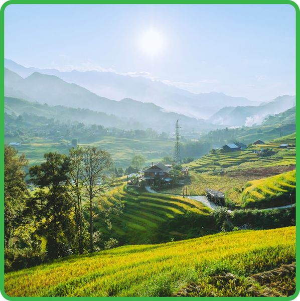  Tour du lịch Sapa 4 ngày 3 đêm 