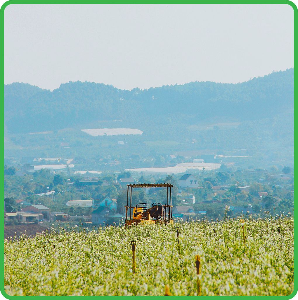 Tour du lịch Đà Lạt 3 ngày 3 đêm