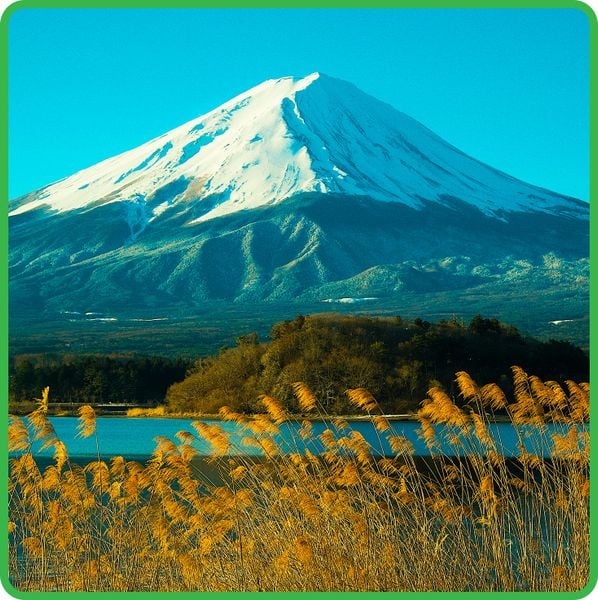  Du lịch Nhật Bản 4 ngày 5 đêm 