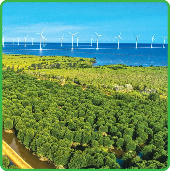  Tour Miền Tây 3 ngày 2 đêm: Mỹ Tho - Cần Thơ - Cà Mau - Bạc Liêu 