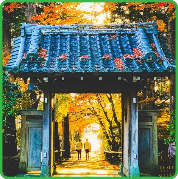  Tour cung đường vàng Nhật Bản 6 ngày 5 đêm 