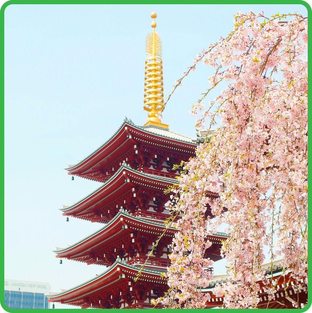 Du Lịch Nhật Bản 5 ngày 5 đêm