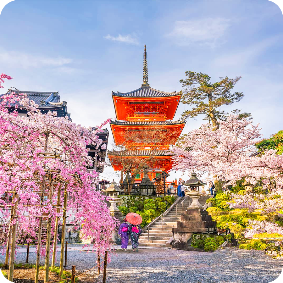 Tour cung đường vàng Nhật Bản 6 ngày 5 đêm