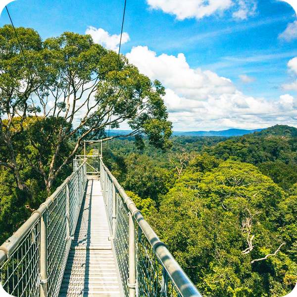  Tour du lịch Brunei 4 ngày 3 đêm 
