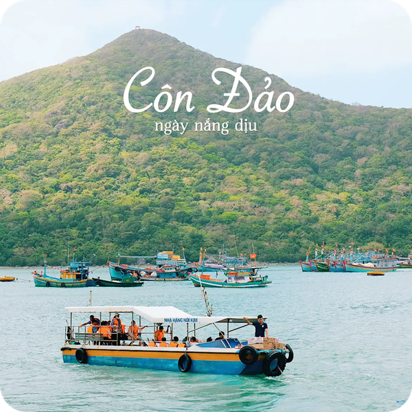  Tour du lịch Côn Đảo 3 ngày 2 đêm 