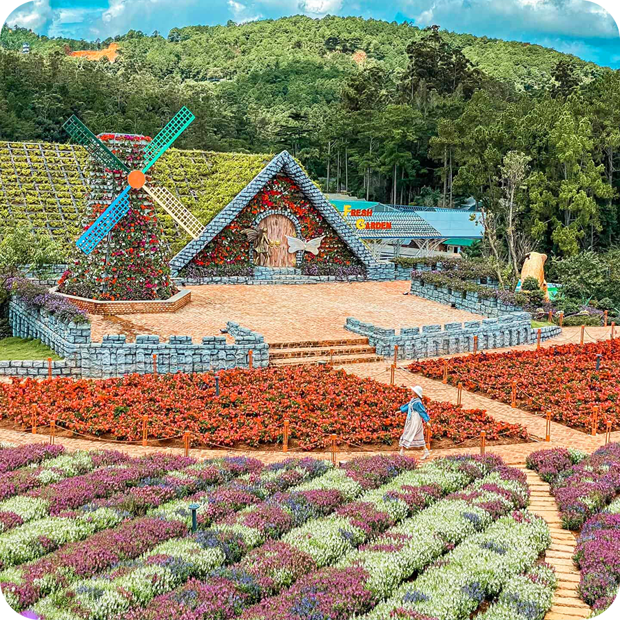 Tour du lịch Đà Lạt 3 ngày 3 đêm