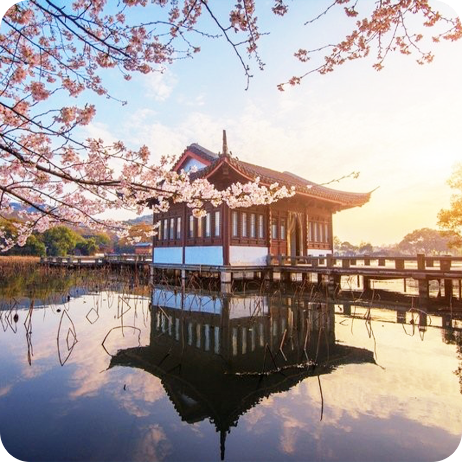 Tour Thượng Hải - Hàng Châu - Tô Châu 5 ngày 4 đêm