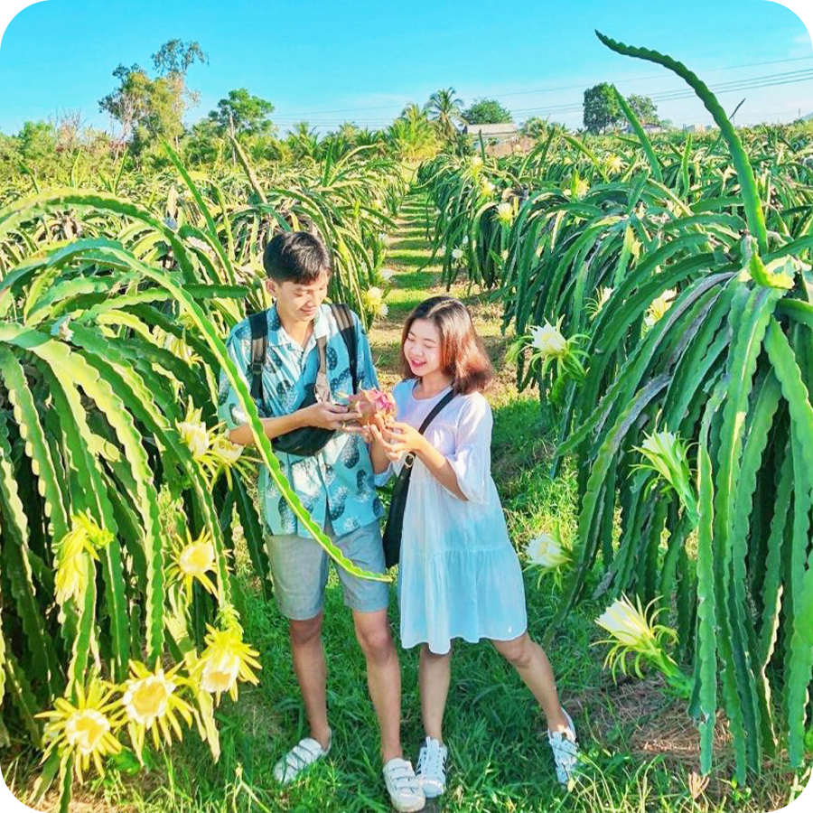 Tour Phan Thiết - Mũi Né 2 ngày 1 đêm