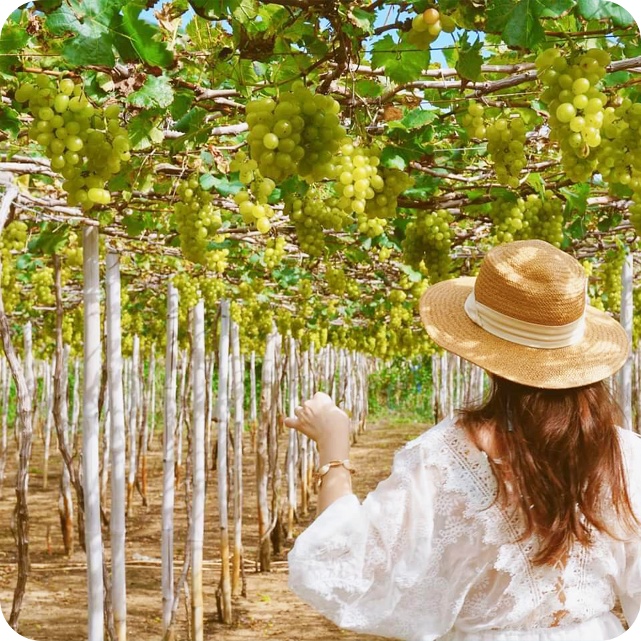 Tour Nha Trang 3 ngày 3 đêm