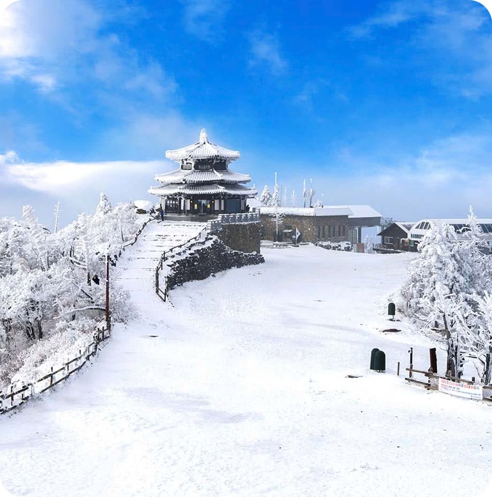 Du lịch Hàn Quốc 5N4Đ khám phá Nami Island