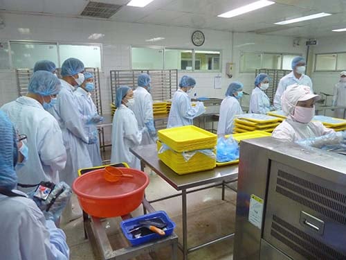 nón lưới trùm cho công nhân