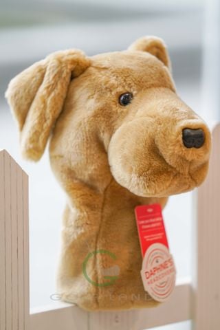 Cover DN Yellow Lab