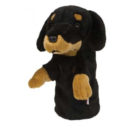 Cover DN Dachshund