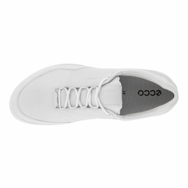 15584411007 Giày ECCO BIOM HYBRID 3