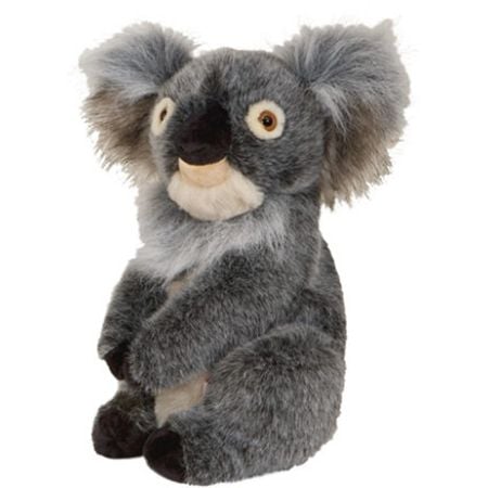 Cover DN Koala