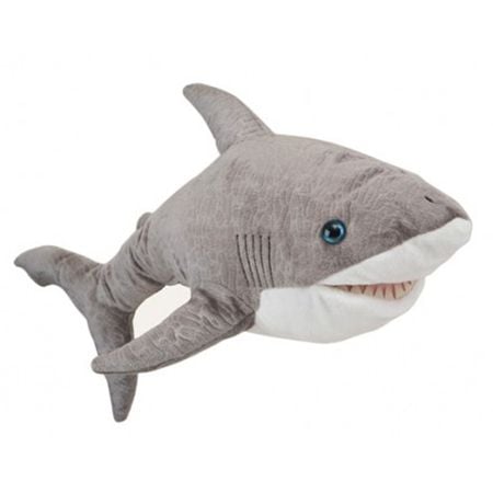 Cover DN Shark