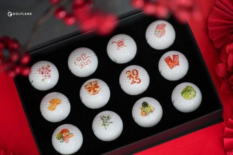 Bóng Tết 2024 (Quả)- Hình Tết