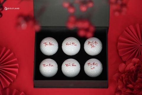 Bóng Tết 2024 (Quả)- Hình Câu Đối