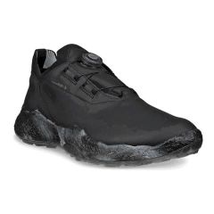 13802401001 Giầy Ecco Biom H5