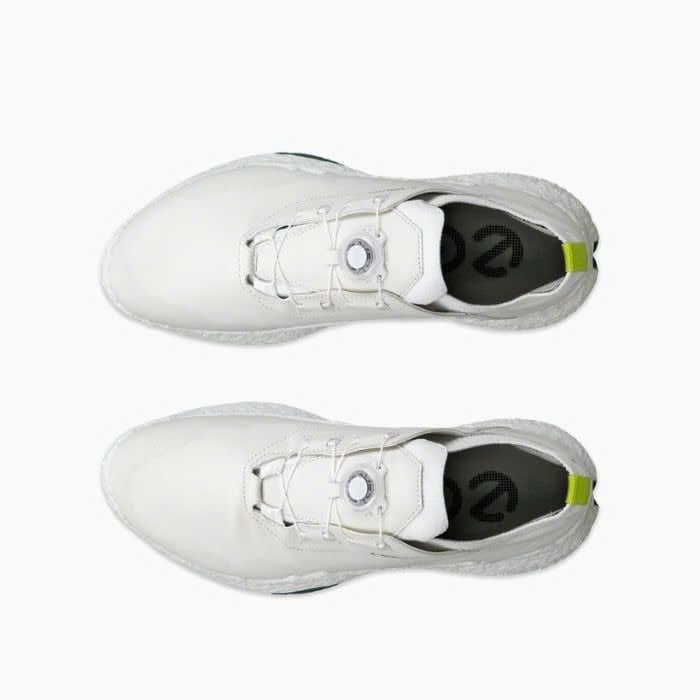13802401007 Giầy Ecco Biom H5