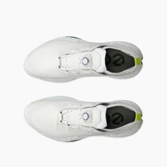 13802401007 Giầy Ecco Biom H5