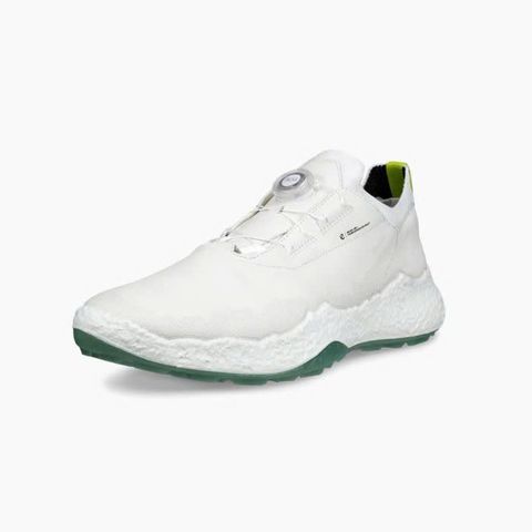 13802401007 Giầy Ecco Biom H5
