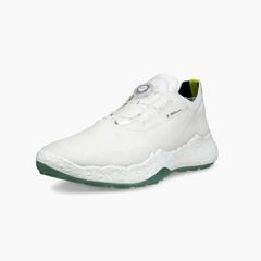 13802401007 Giầy Ecco Biom H5