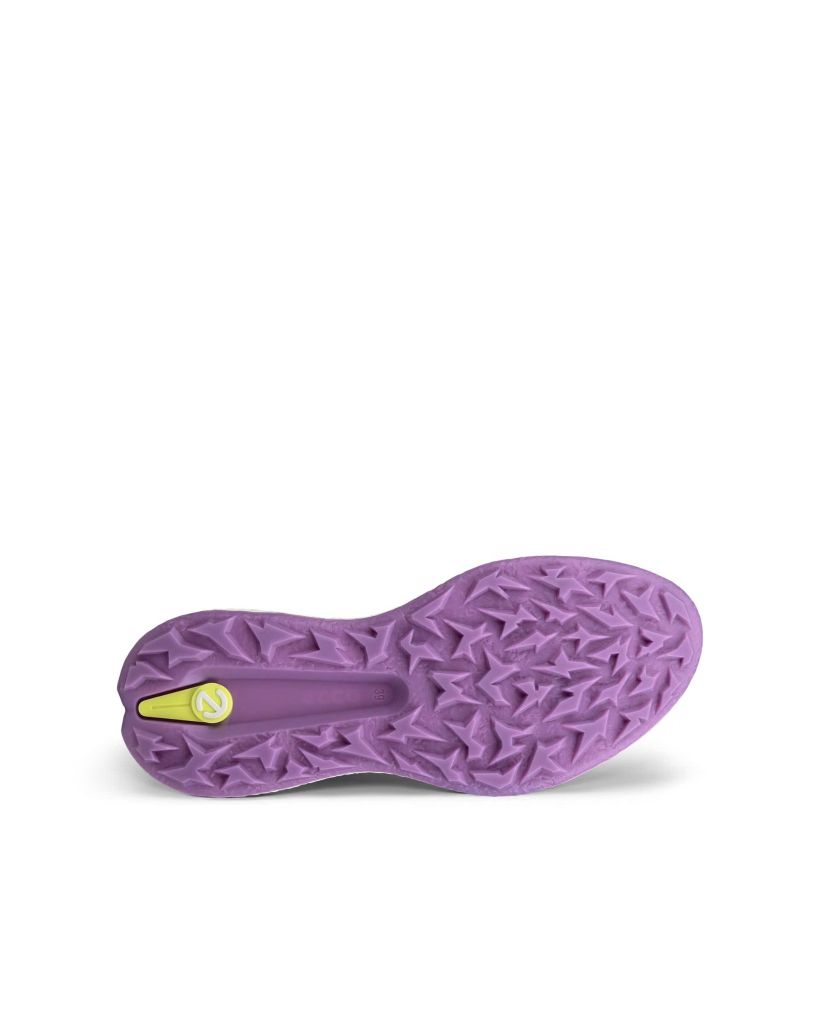 11500361058 Giầy Ecco Biom H5