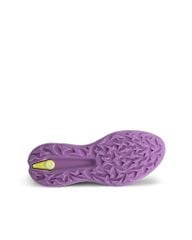 11500361058 Giầy Ecco Biom H5
