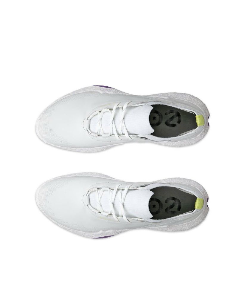 11500361058 Giầy Ecco Biom H5