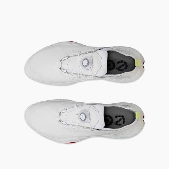 11501301007 Giầy Ecco Biom H5