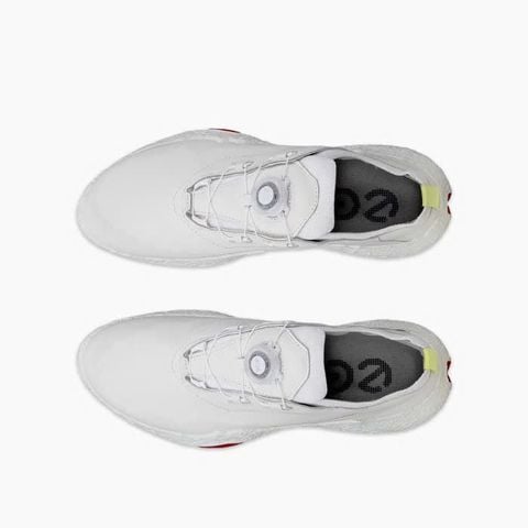 11501301007 Giầy Ecco Biom H5