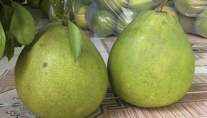  Bưởi Tân Triều 