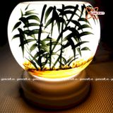  Đèn xông tinh dầu gốm Bát Tràng - Phong Cảnh Tre 