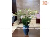  Bình Hoa men hỏa biến xanh đen kính dáng vò cao cao 32cm | Quà Tặng bình hoa Bát Tràng 