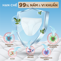 Combo 3 Nước giặt đồ lót chuyên dụng Sollina 400ML Giúp khử mùi, kháng khuẩn, An toàn cho da nhạy cảm