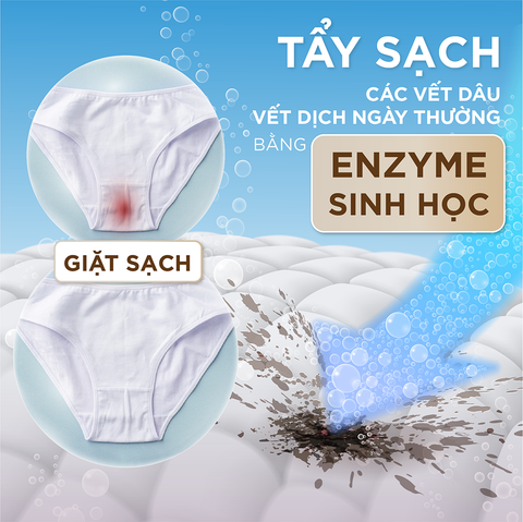 Combo nước giặt đồ lót chuyên dụng Sollina và khăn ướt vệ sinh phụ nữ màu tím 20 gói/hộp