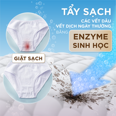 Combo 3 Nước giặt đồ lót chuyên dụng Sollina 400ML Giúp khử mùi, kháng khuẩn, An toàn cho da nhạy cảm