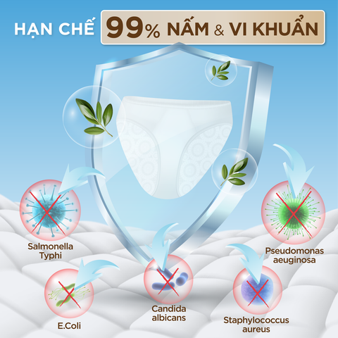 Combo 2 chai nước giặt đồ lót Sollina Hồng hương thơm ngọt diu giúp kháng khuẩn đồ lót, an toàn cho da