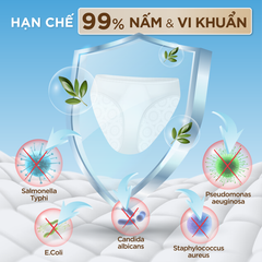 Nước giặt đồ lót chuyên dụng Sollina Hương thơm Ngọt dịu 400ML Giúp khử mùi, kháng khuẩn, An toàn cho da nhạy cảm