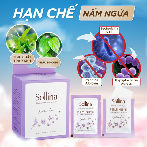 Combo nước giặt đồ lót chuyên dụng Sollina và khăn ướt vệ sinh phụ nữ màu tím 20 gói/hộp