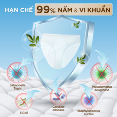 Combo 2 Túi 800Ml Refill Nước Giặt Đồ Lót Chuyên Dụng Sollina Giúp Khử Mùi, Kháng Khuẩn, An Toàn Cho Da